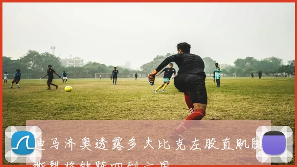 迪马济奥透露多夫比克左股直肌腱撕裂将缺阵四到六周